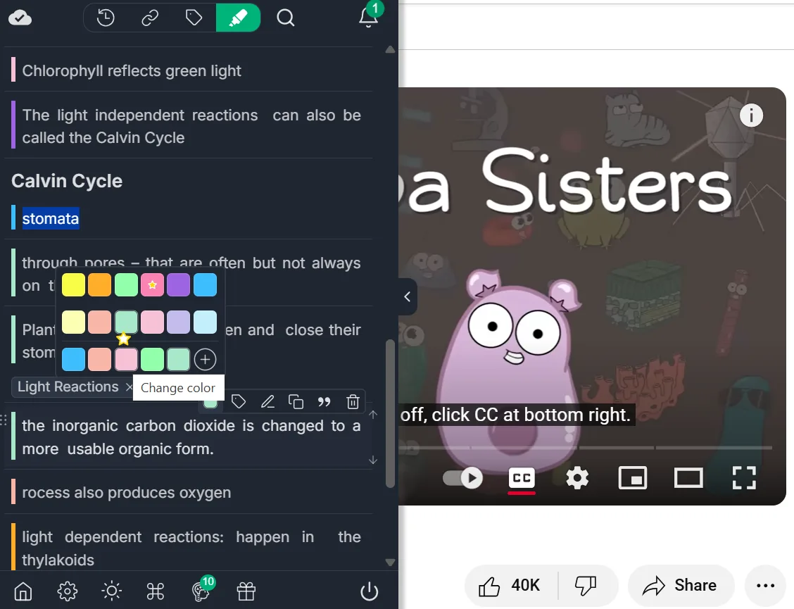 Color-coded highlights in Web Highlights, organizing annotations with different colors for better visual reference.
